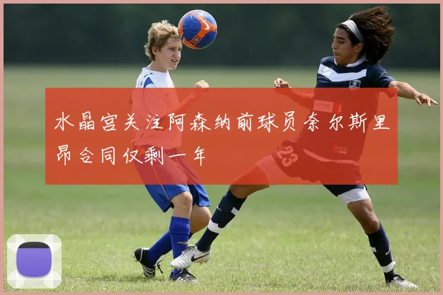水晶宫关注阿森纳前球员奈尔斯里昂合同仅剩一年